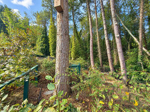Woodland- click for photo gallery